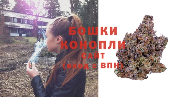 мяу мяу мука Билибино