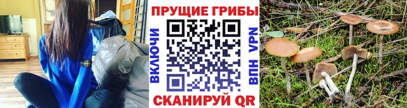 Псилоцибиновые грибы ЛСД  Гагарин 