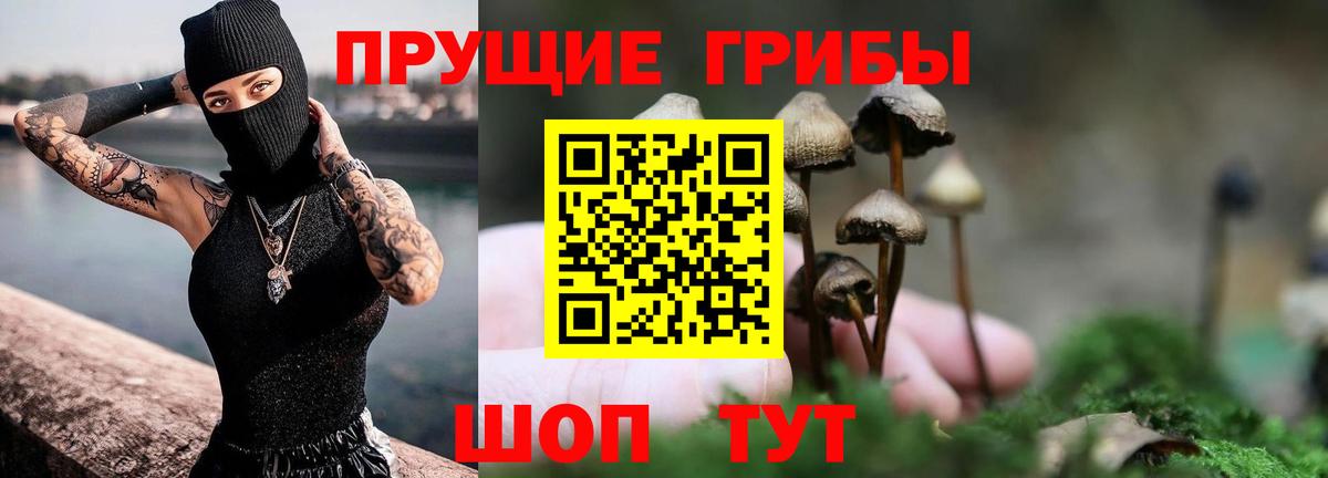 Гагарин  Галлюциногенные грибы мухоморы  Вход с VPN 